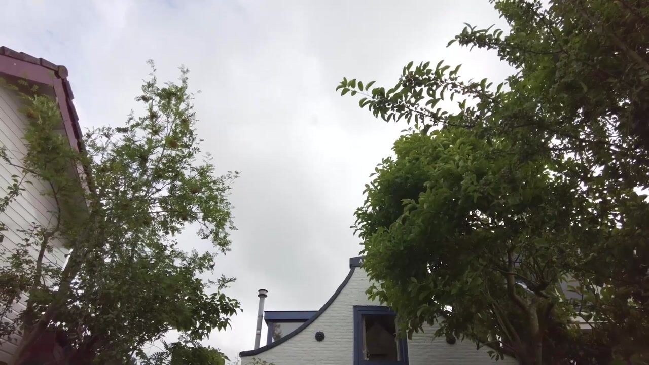 Video of Jaagpad 30