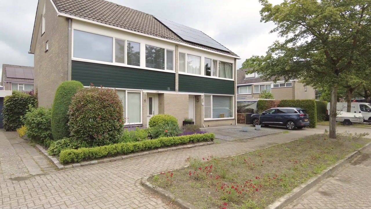 Video van Korenbloem 4