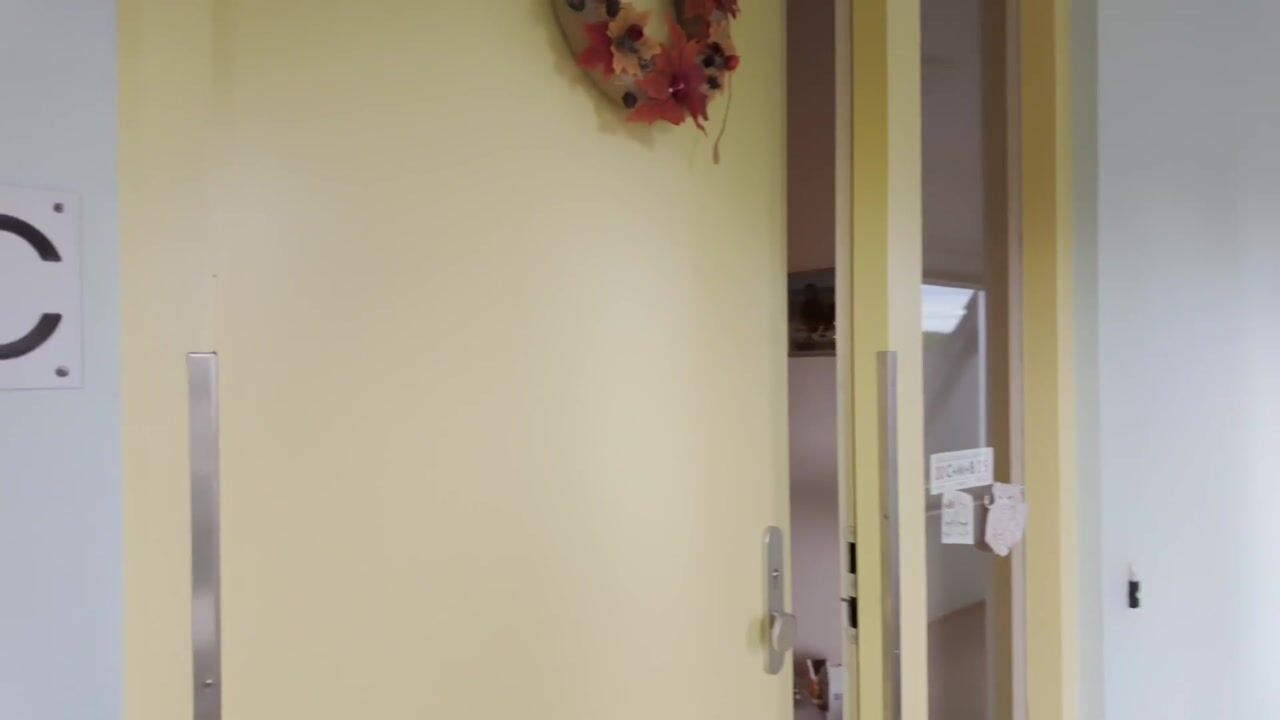 Video of Ds Herm Pollaan 9-C