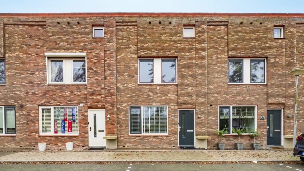 Video van Zeedistel 68