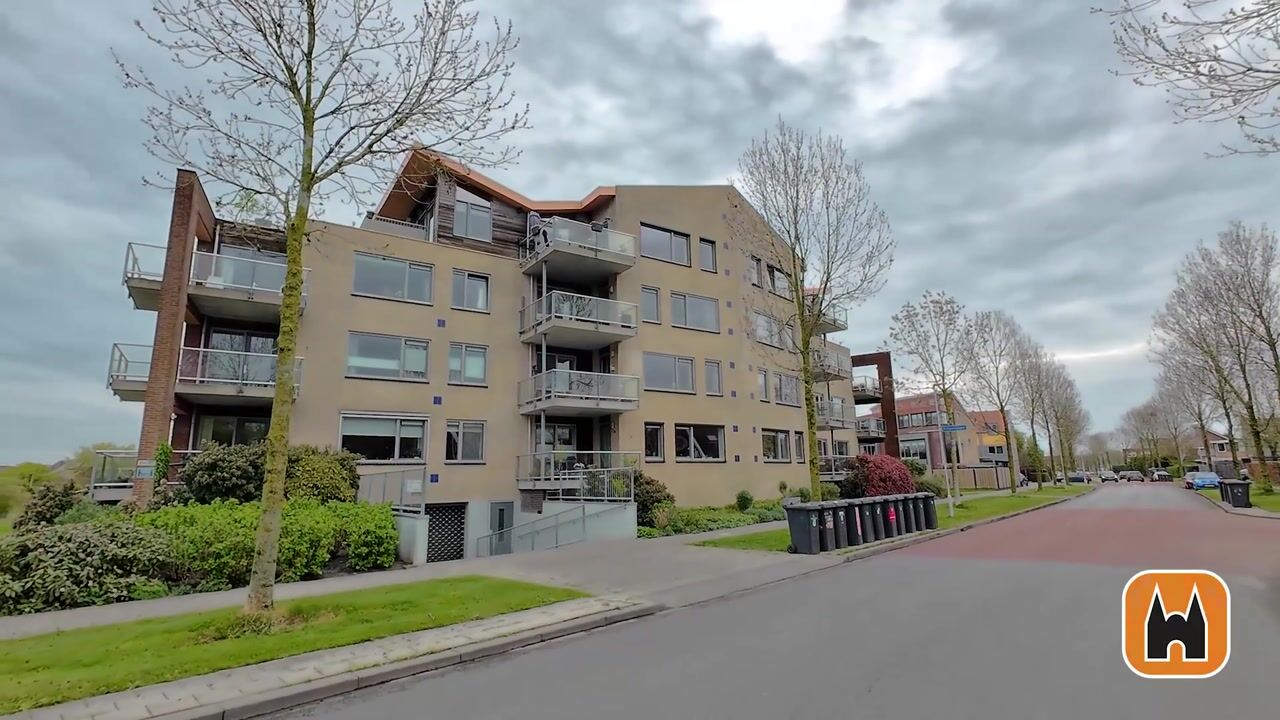 Video of Keizersmantel 355