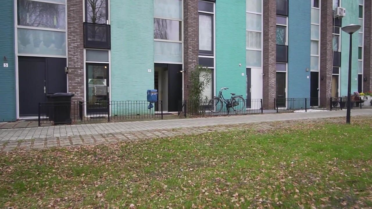 Video van Mintplantsoen 7