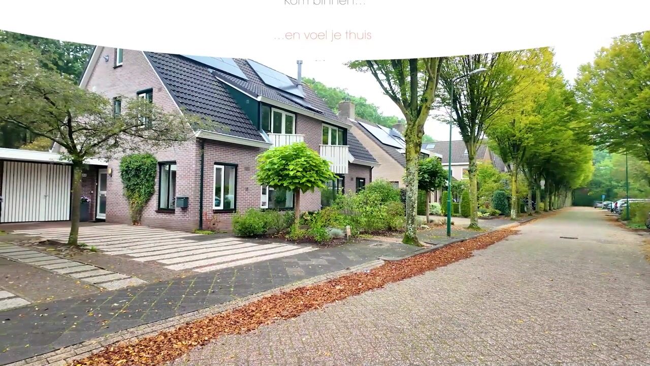 Video van Apollovlinder 46