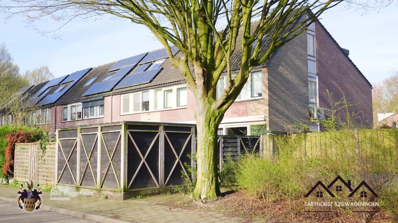 Video of Tarthorst 529