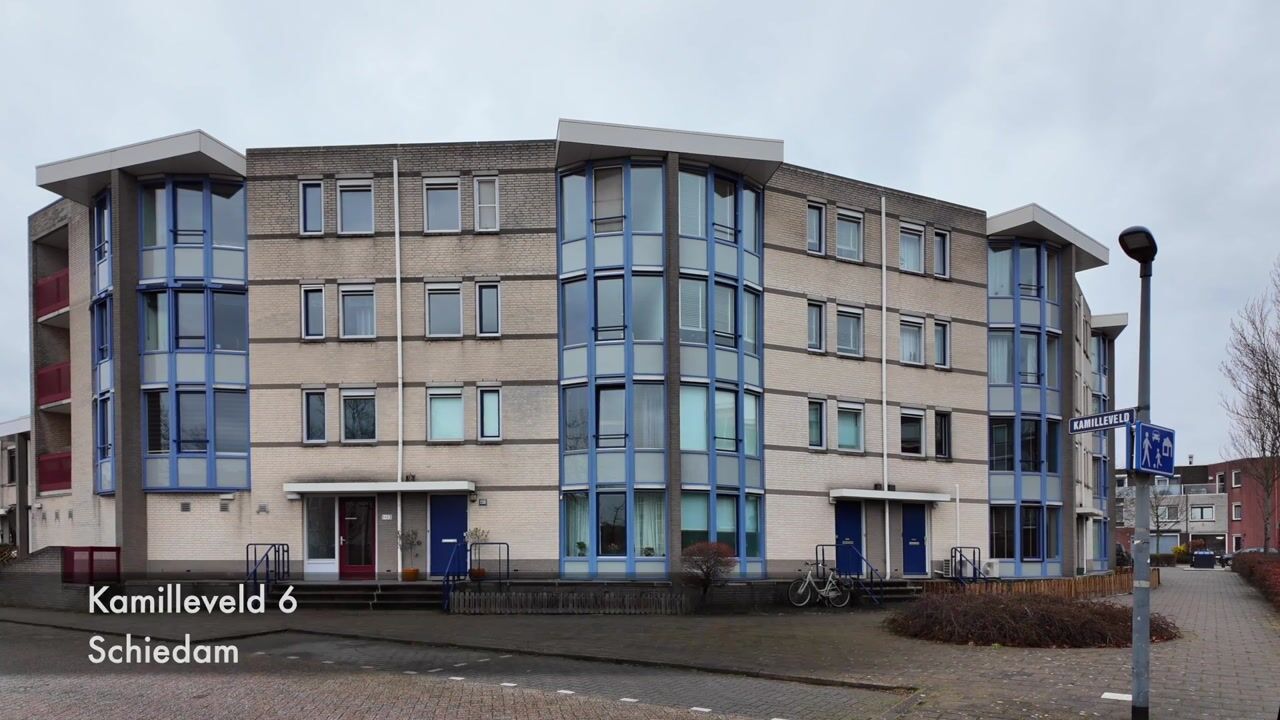 Video of Kamilleveld 6