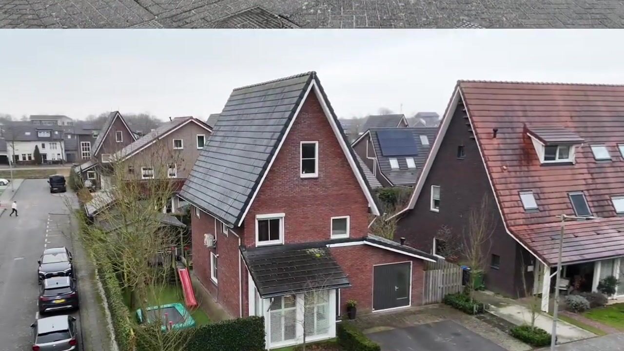 Video van Frankenveld 53