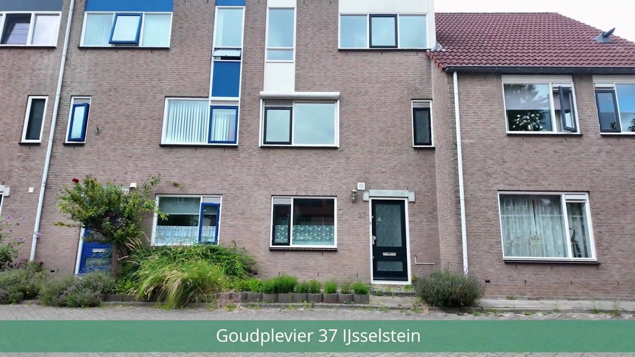 Video of Goudplevier 37