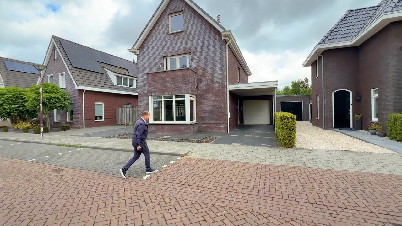Video of Bosanemoon 13