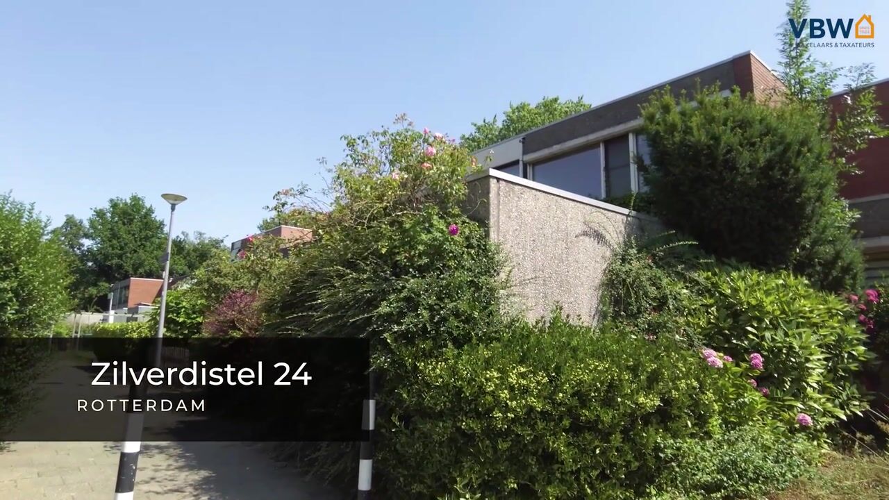 Video van Zilverdistel 24