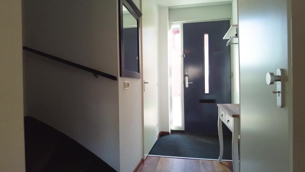 Video van Moerasvaren 42