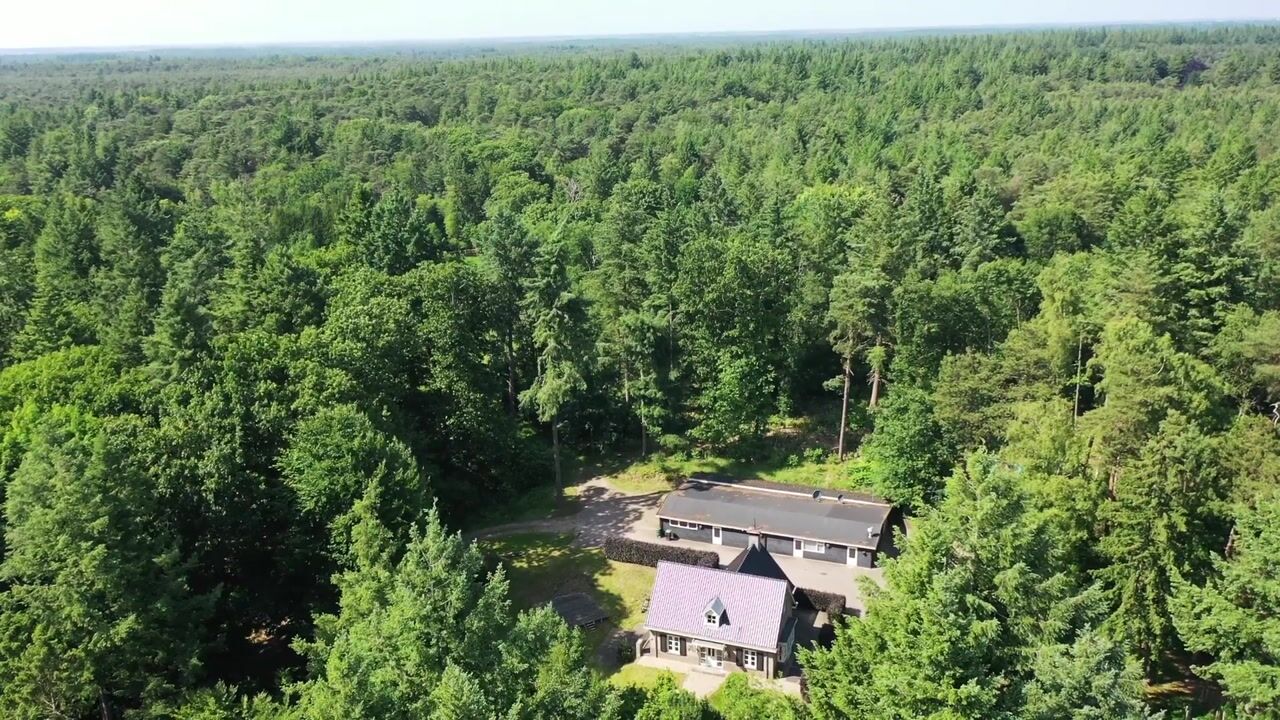 Video of Stakenberg 75