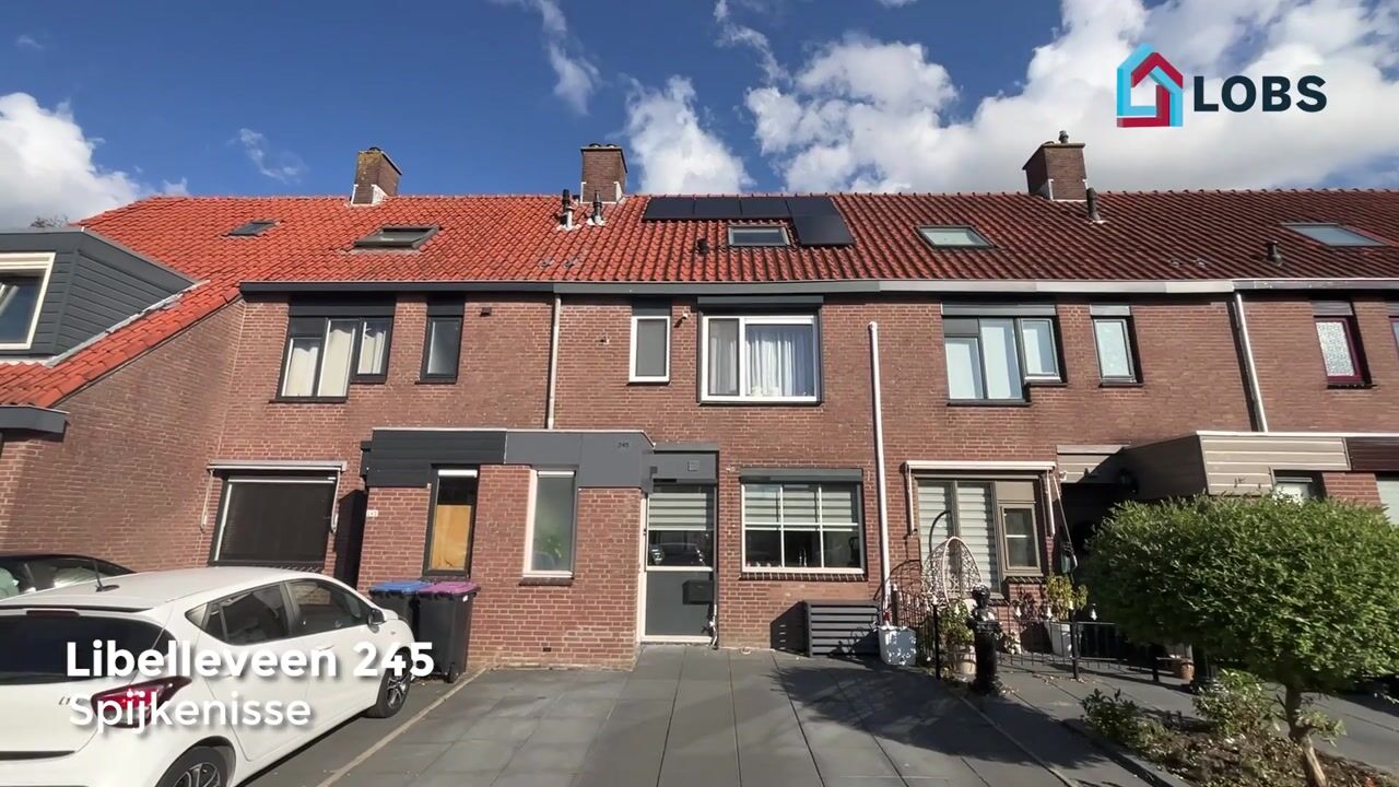 Video van Libelleveen 245