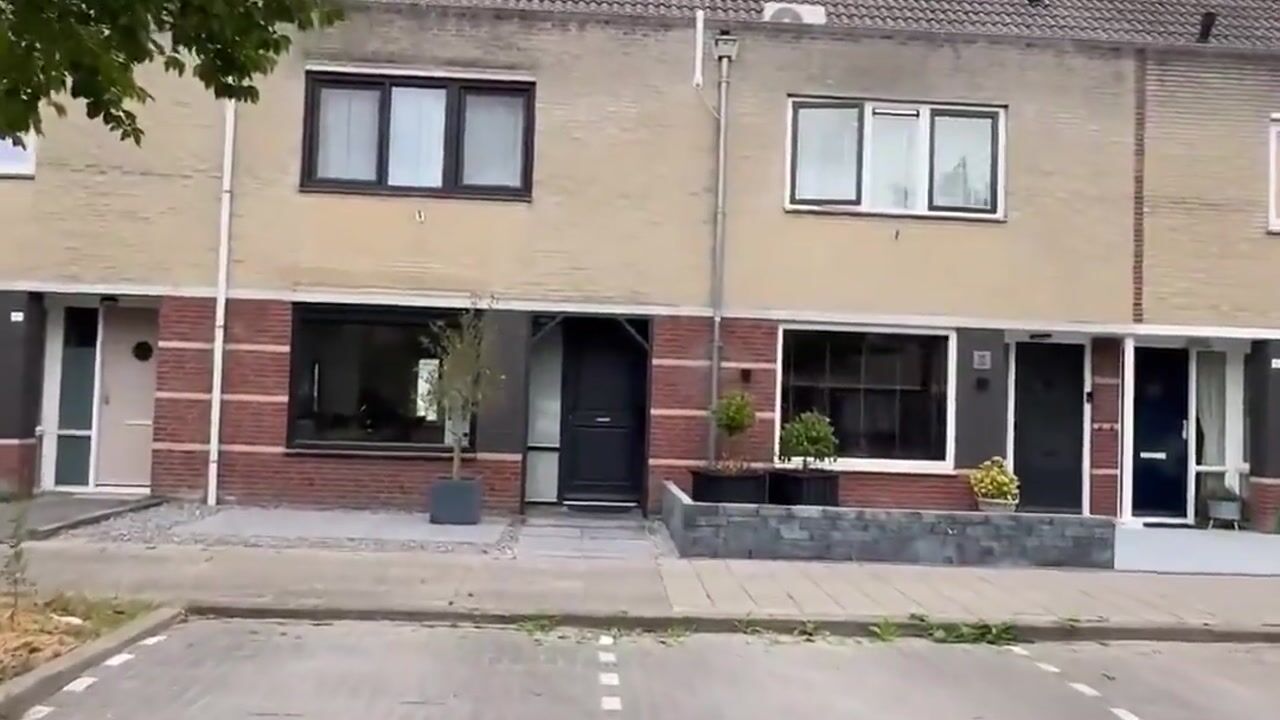 Video van Zilverschoon 17