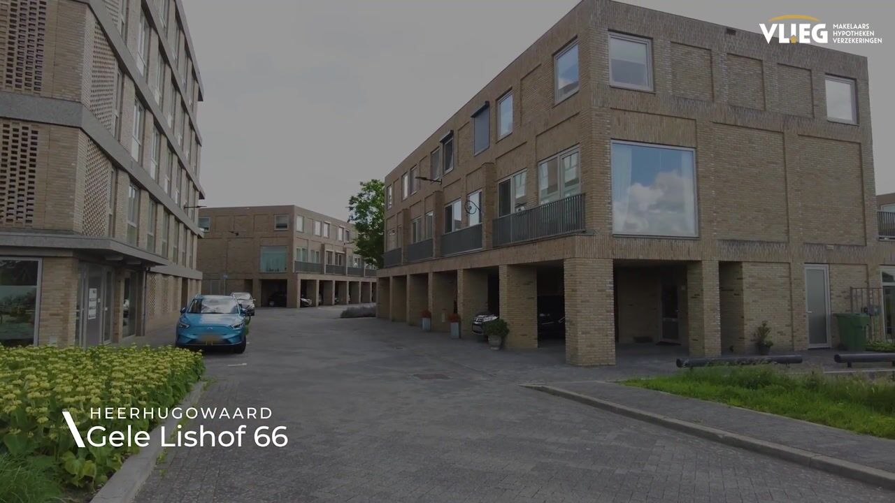 Video of Gele Lishof 66