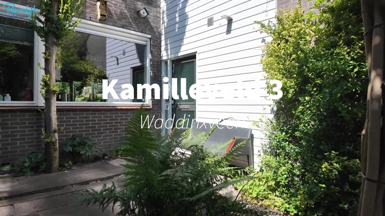 Video of Kamilleveld 3