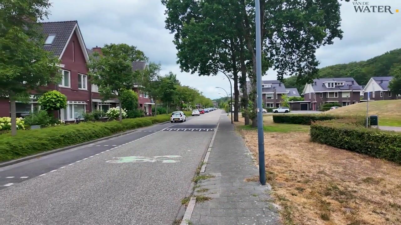Video van Parelmoervlinder 49