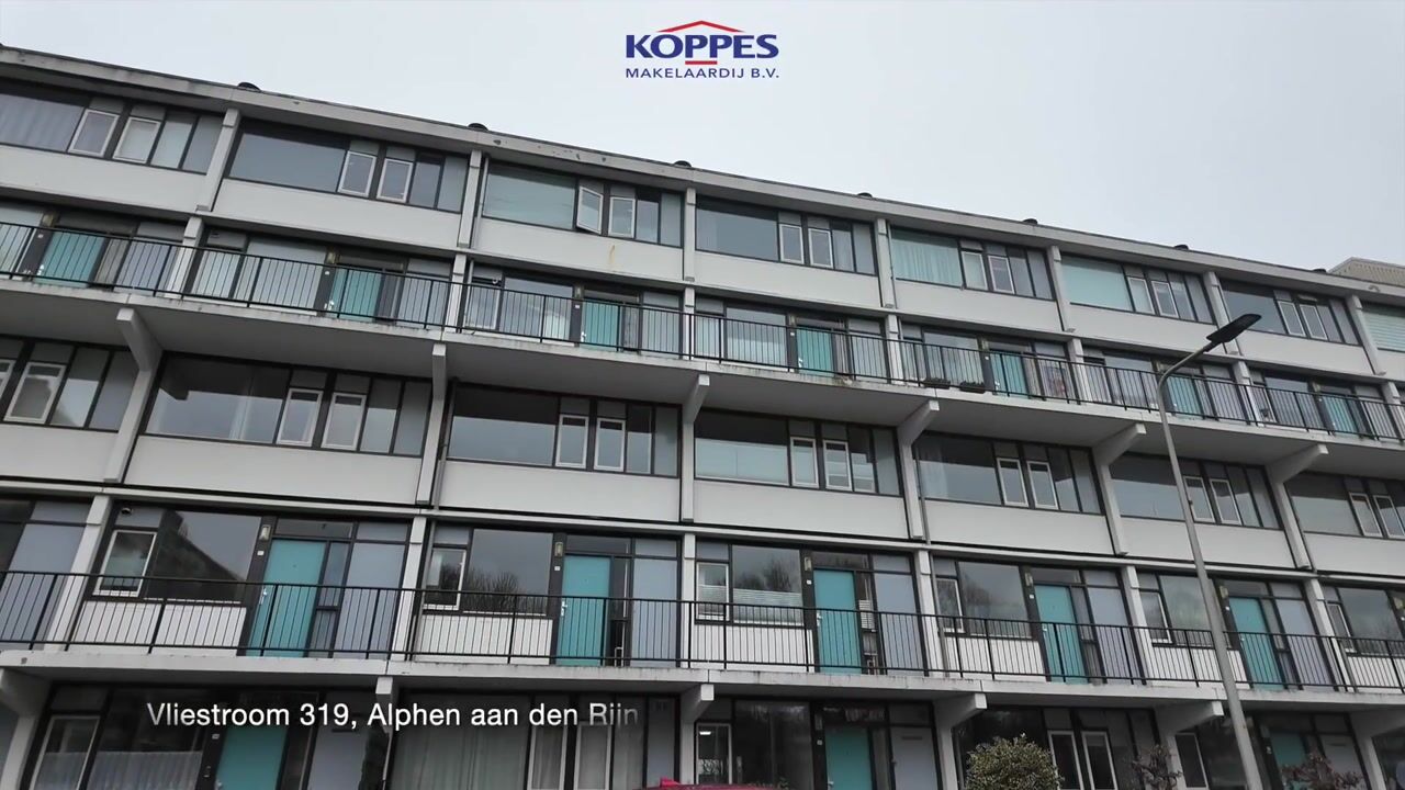 Video van Vliestroom 319