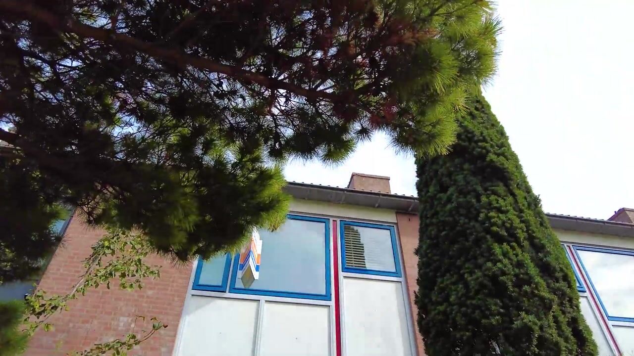 Video of Wildbaan 86