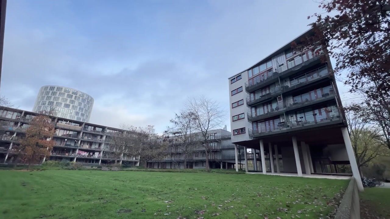 Video of Oeverpad 405