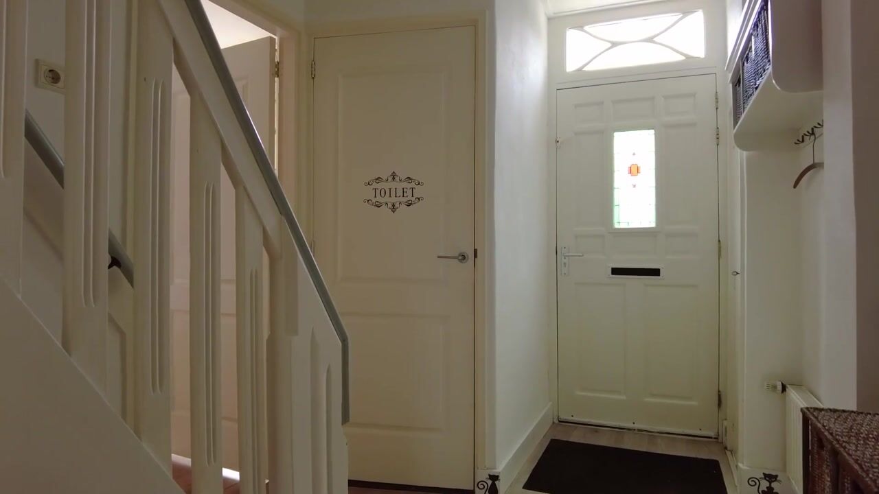 Video van Provincialeweg 14