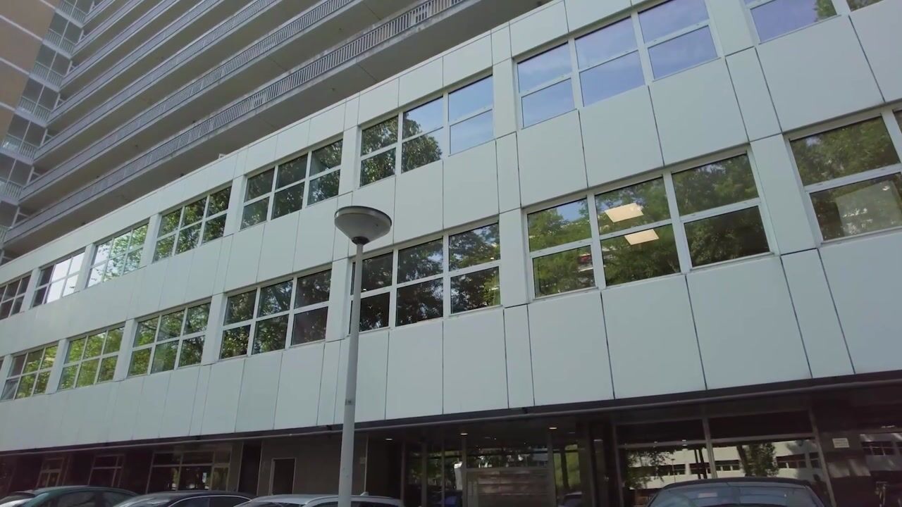 Video van Weerdestein 56