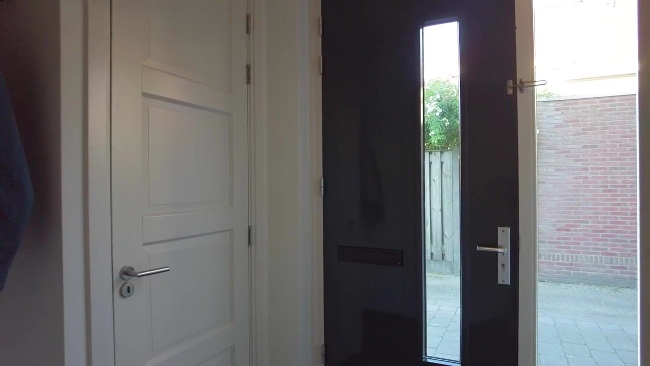 Video of Distelveld 10