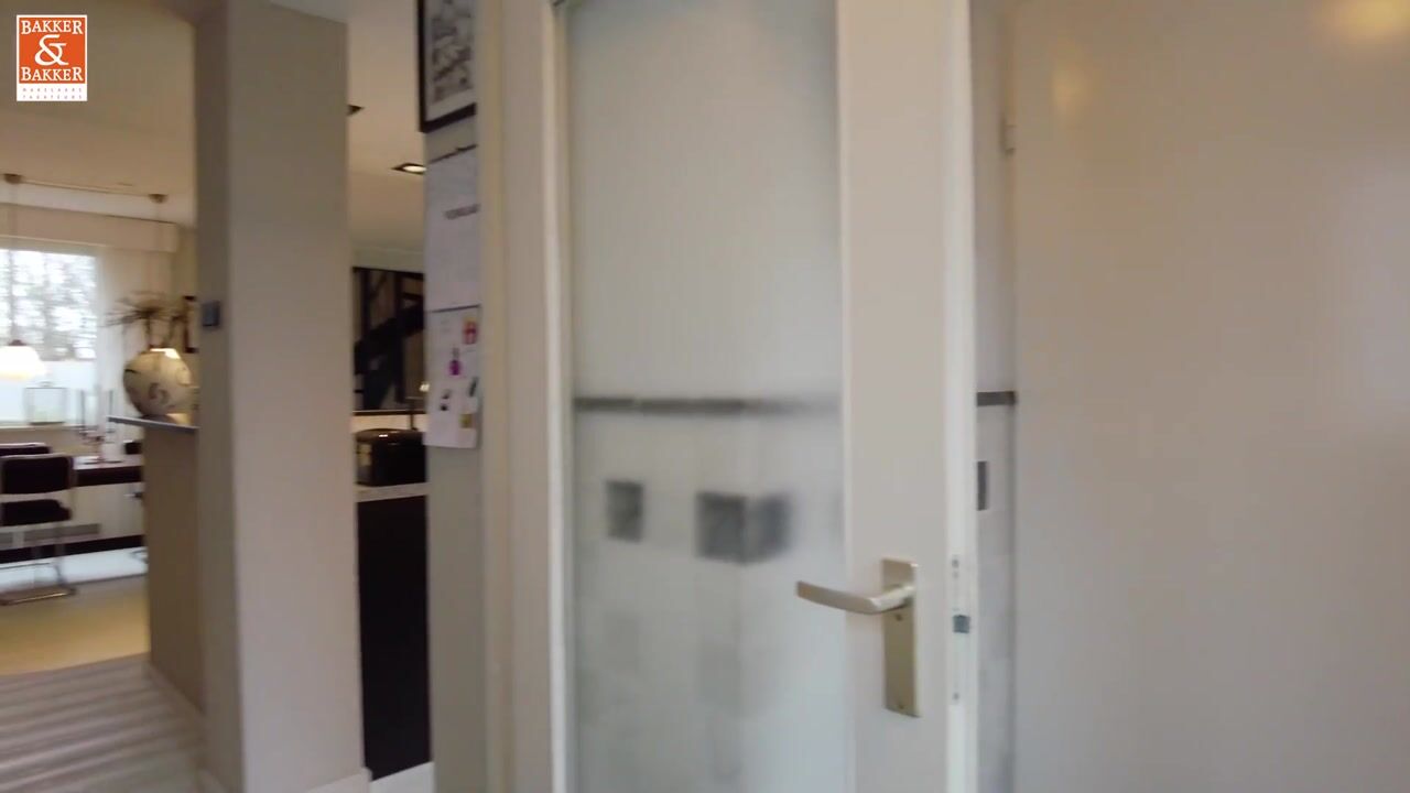 Video of Tureluur 36