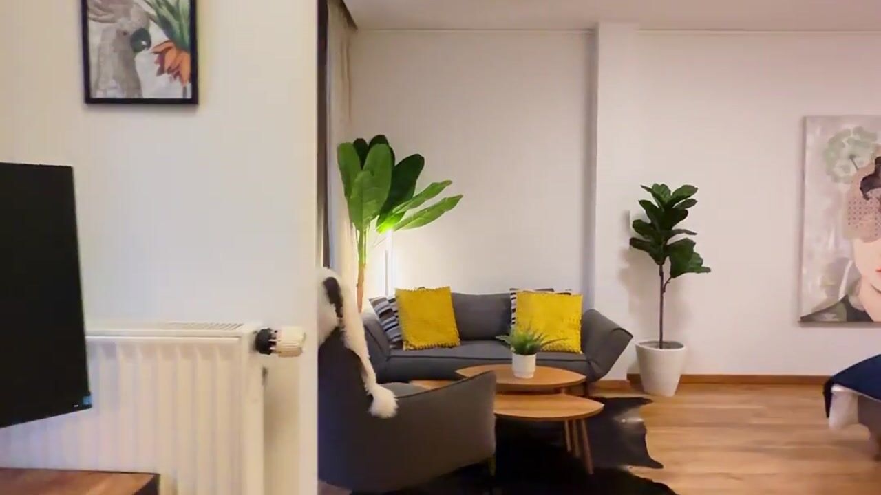 Video van Eerste Jan Steenstraat 110-2