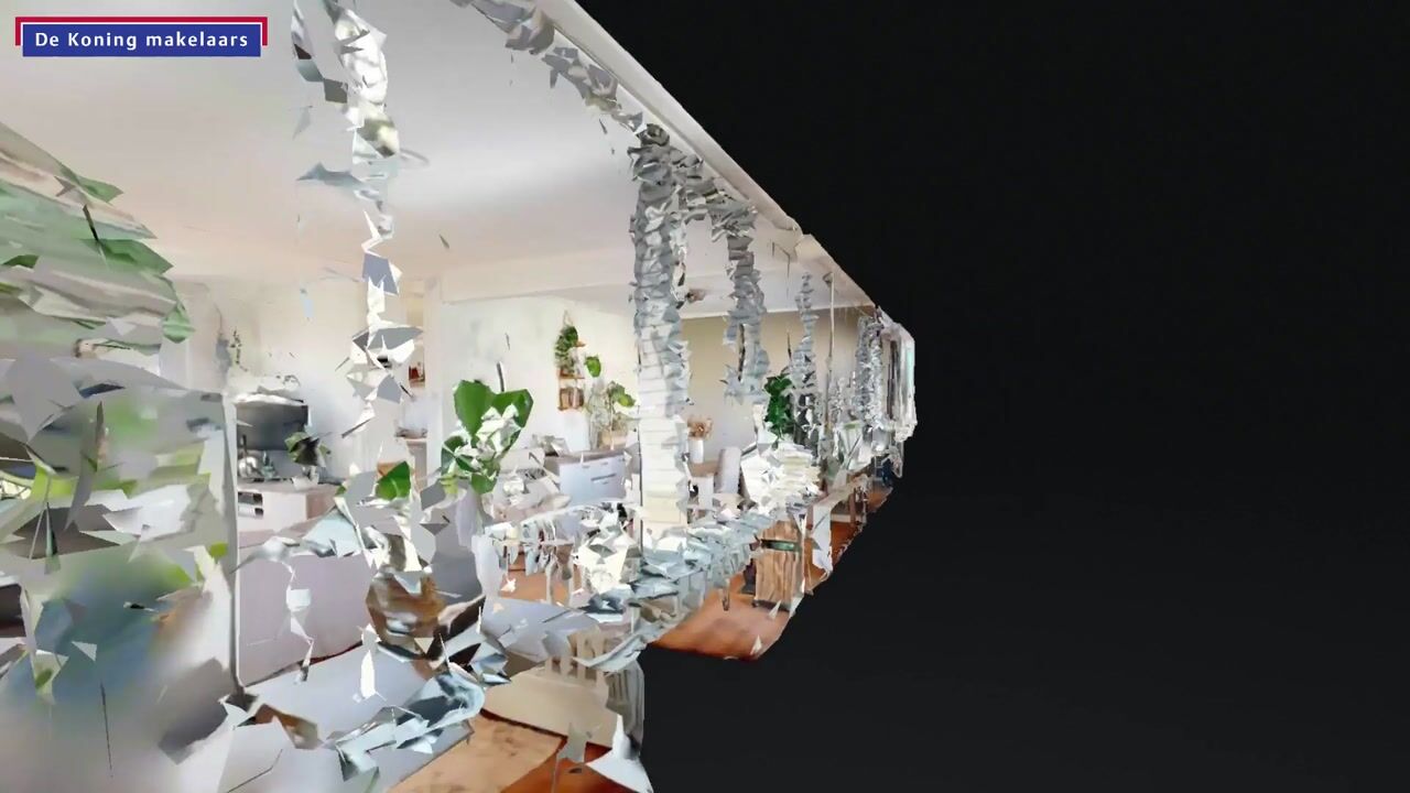 Video van Rembrandtlaan 161