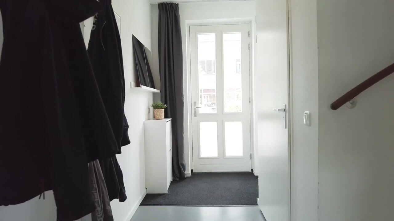Video van Rietveld 24