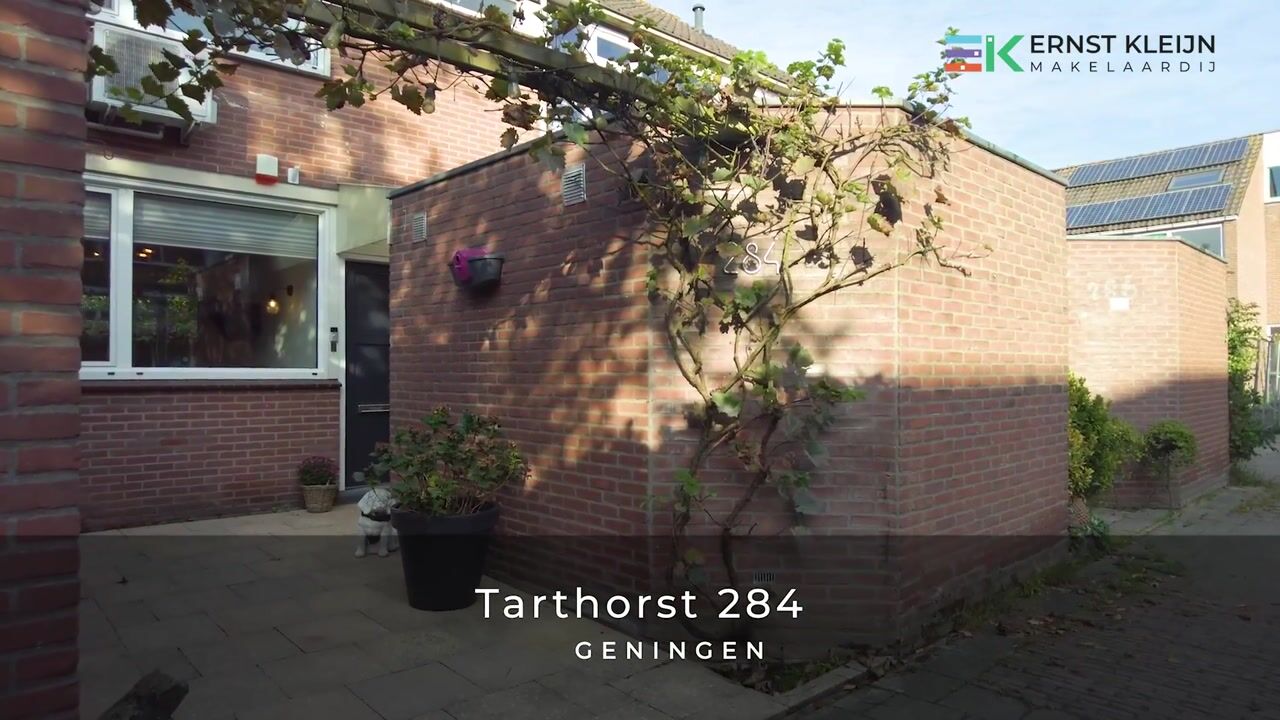 Video van Tarthorst 284