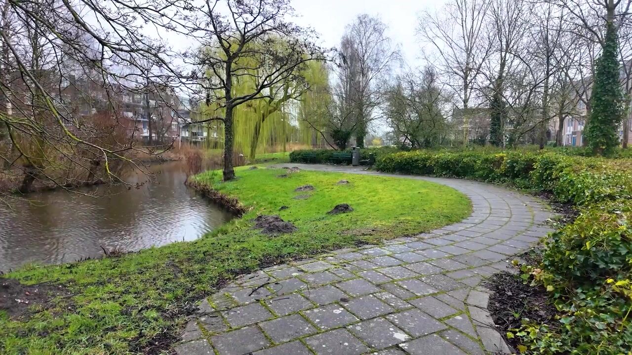 Video van Schelluinenstraat 75