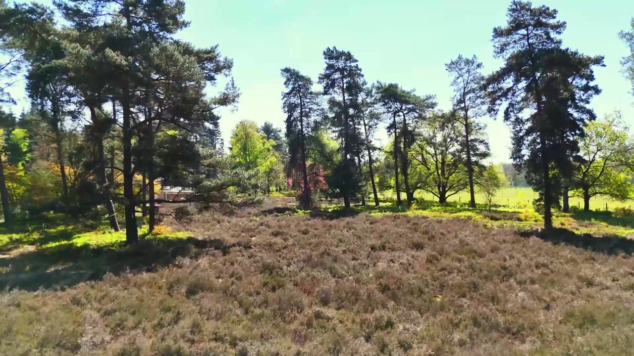 Video van Bijsterbosweg 9