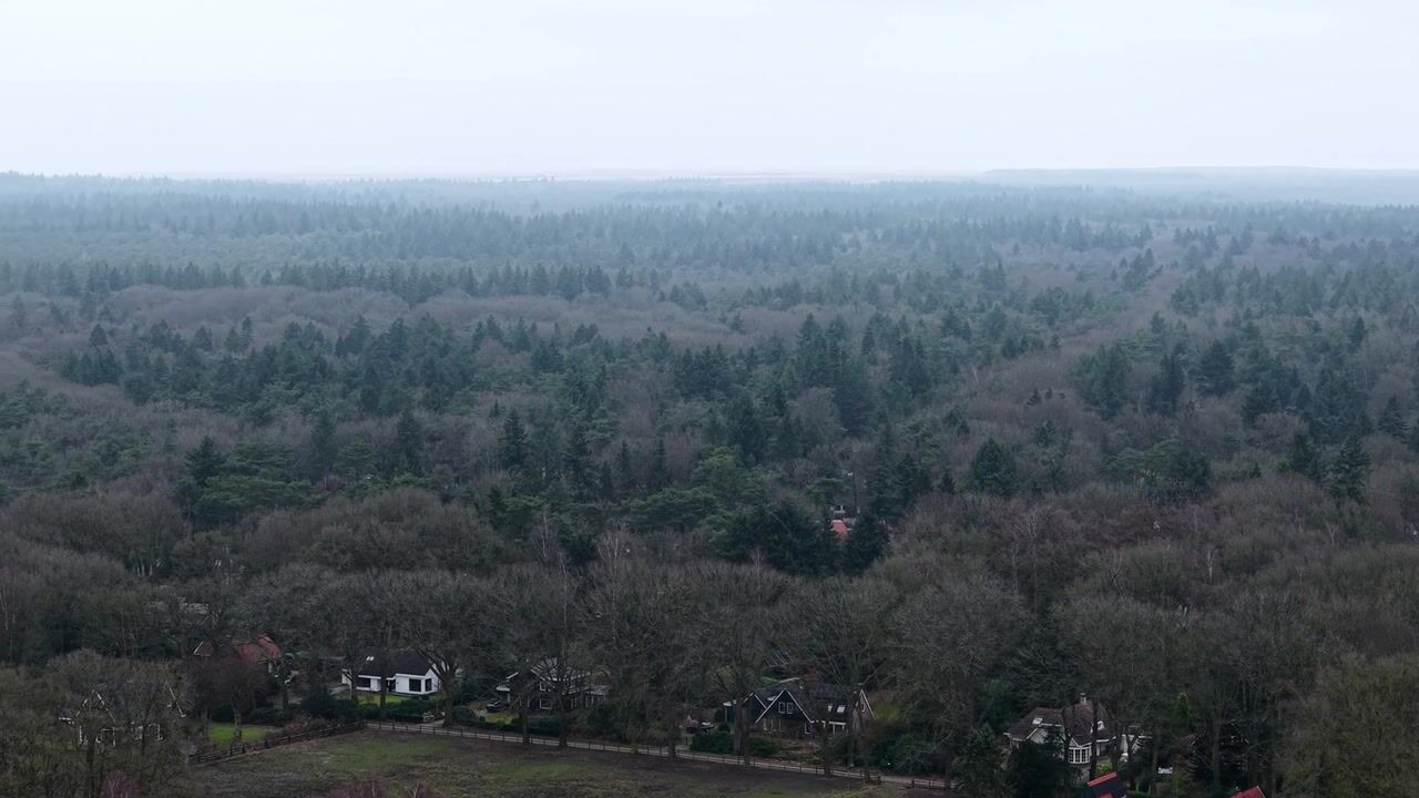Video van Loper 13
