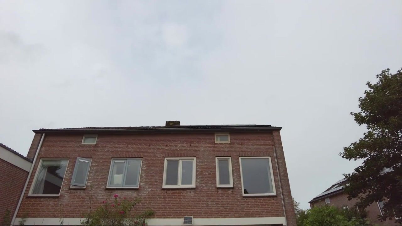 Video van Beekforel 2
