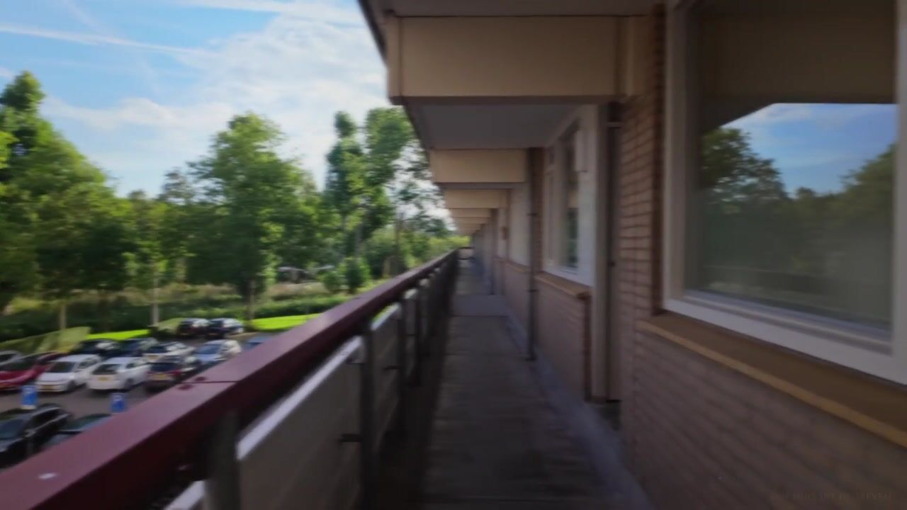 Video van Martin Luther Kinglaan 336