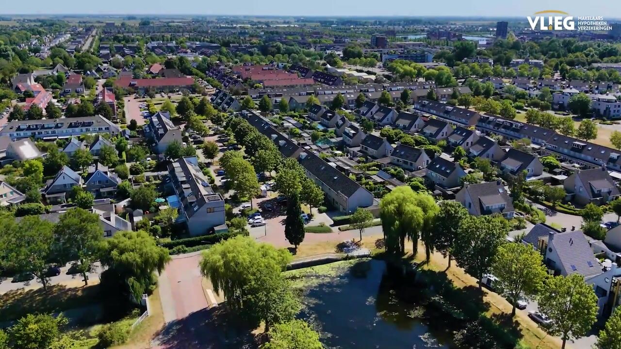 Video van Gele Varaan 43
