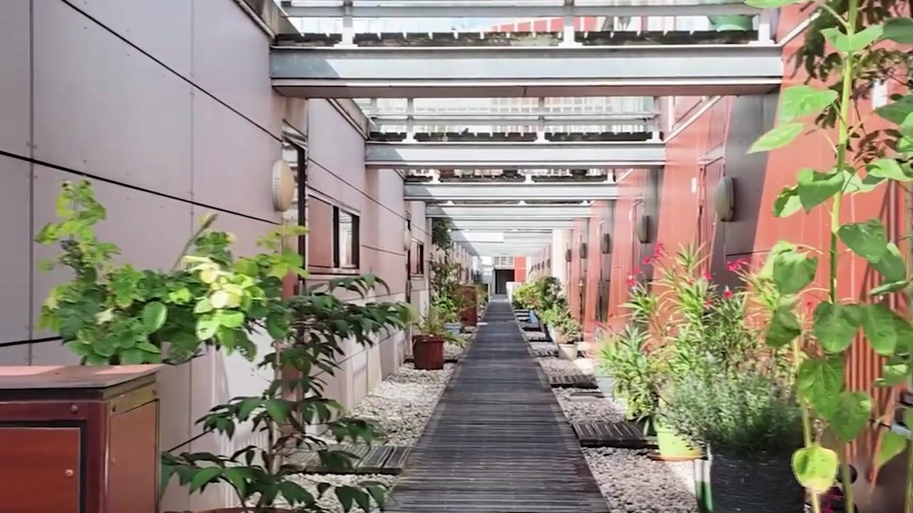 Video van Croesestraat 91