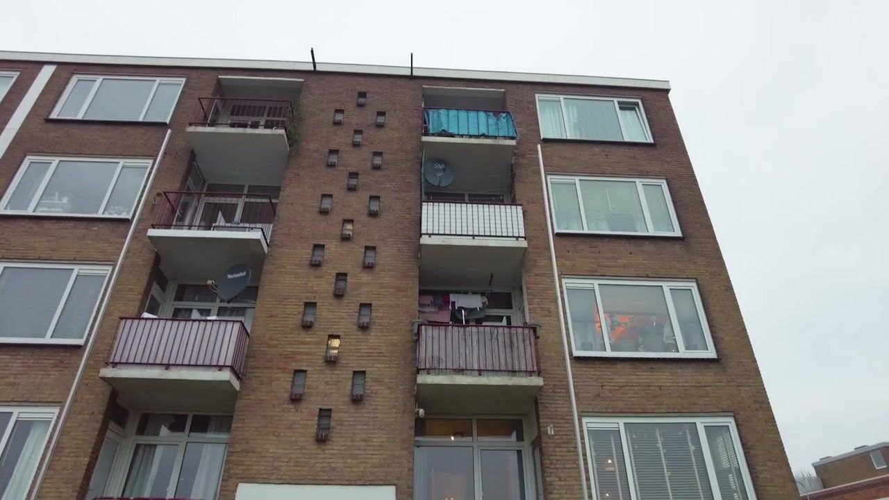 Video van Hertog Arnoldstraat 2