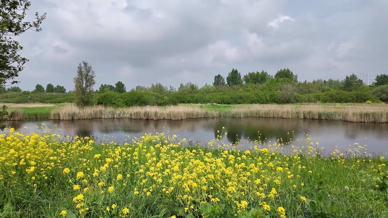 Video of Charentestroom 73