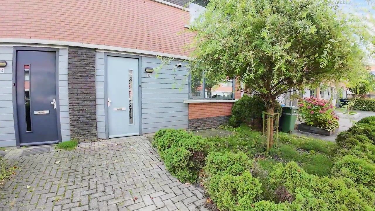 Video van Waterjuffer 12