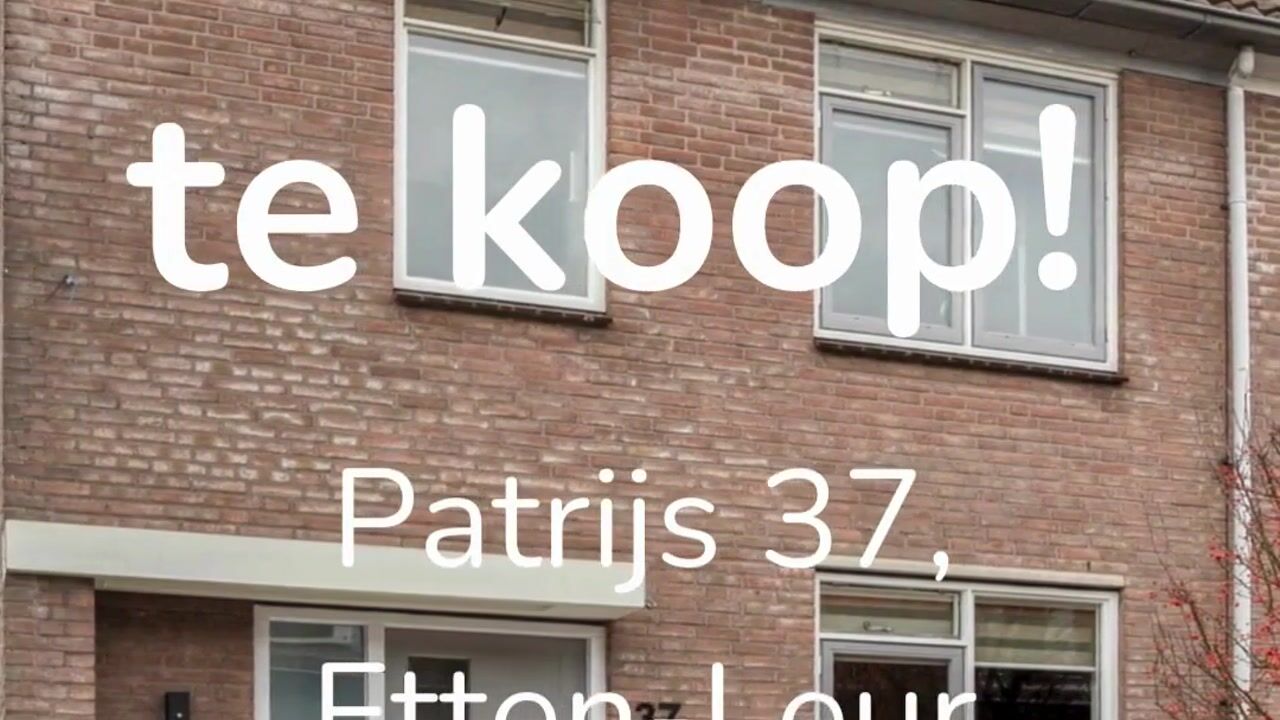 Video van Patrijs 37