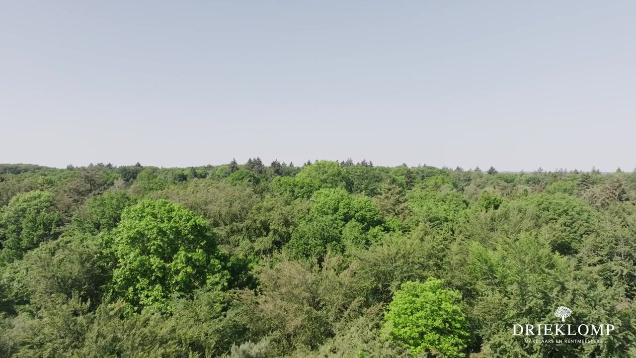 Video van Graaf van Rechterenweg 51-C