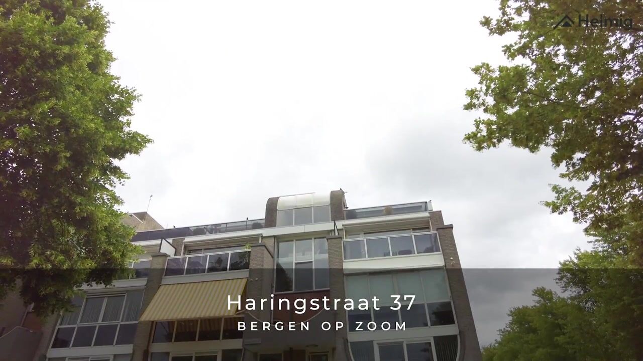 Video van Haringstraat 37