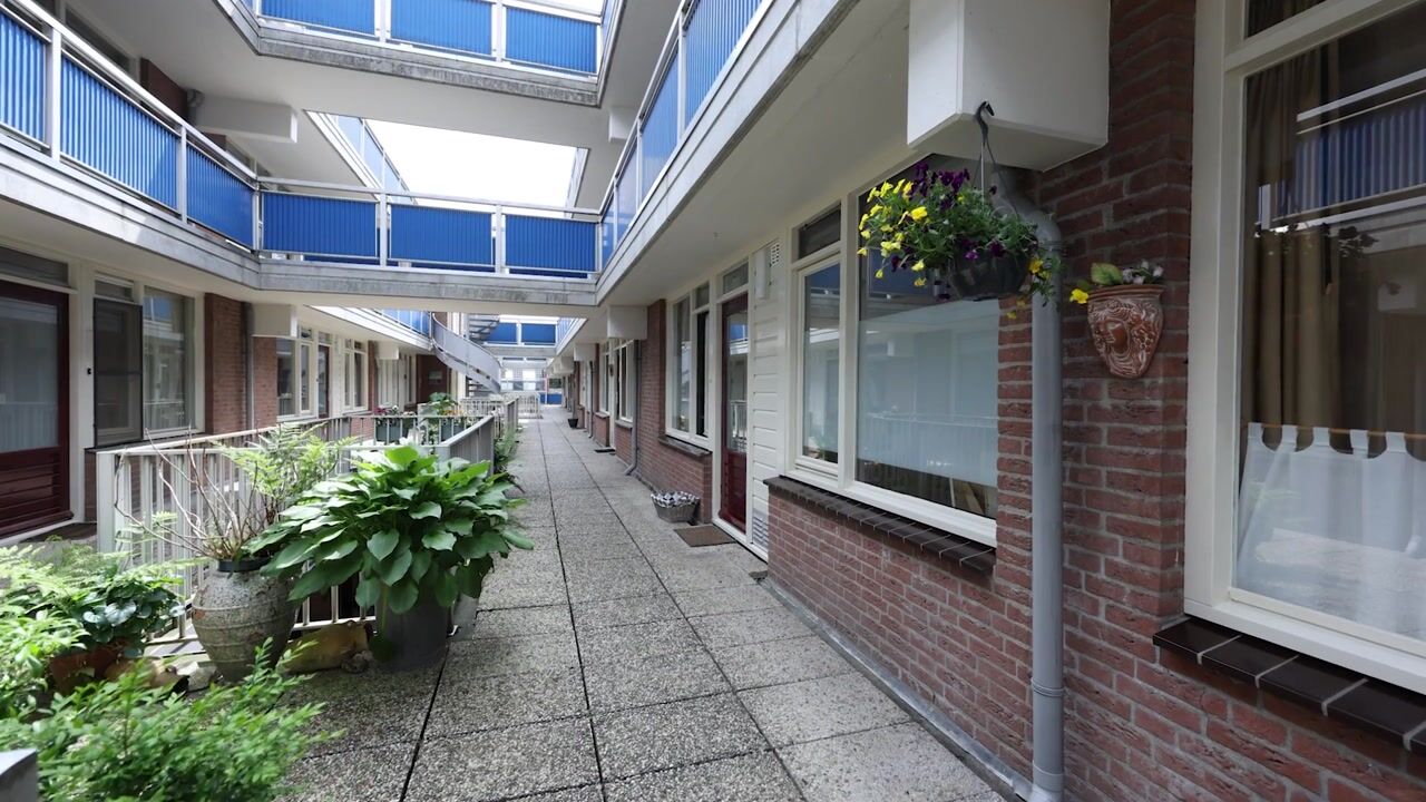 Video van De Wiek 101
