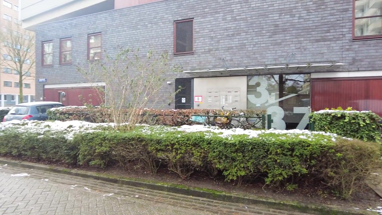 Video van Carnapstraat 19
