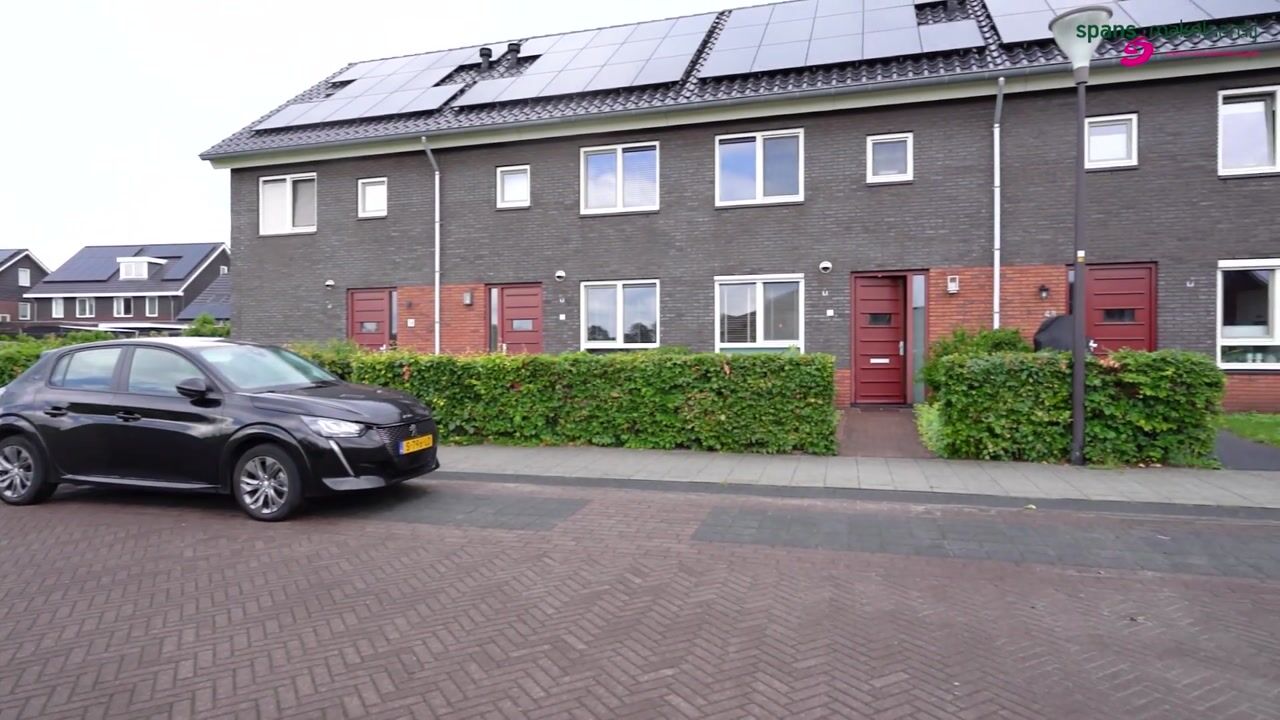 Video van Dagpauwoog 50