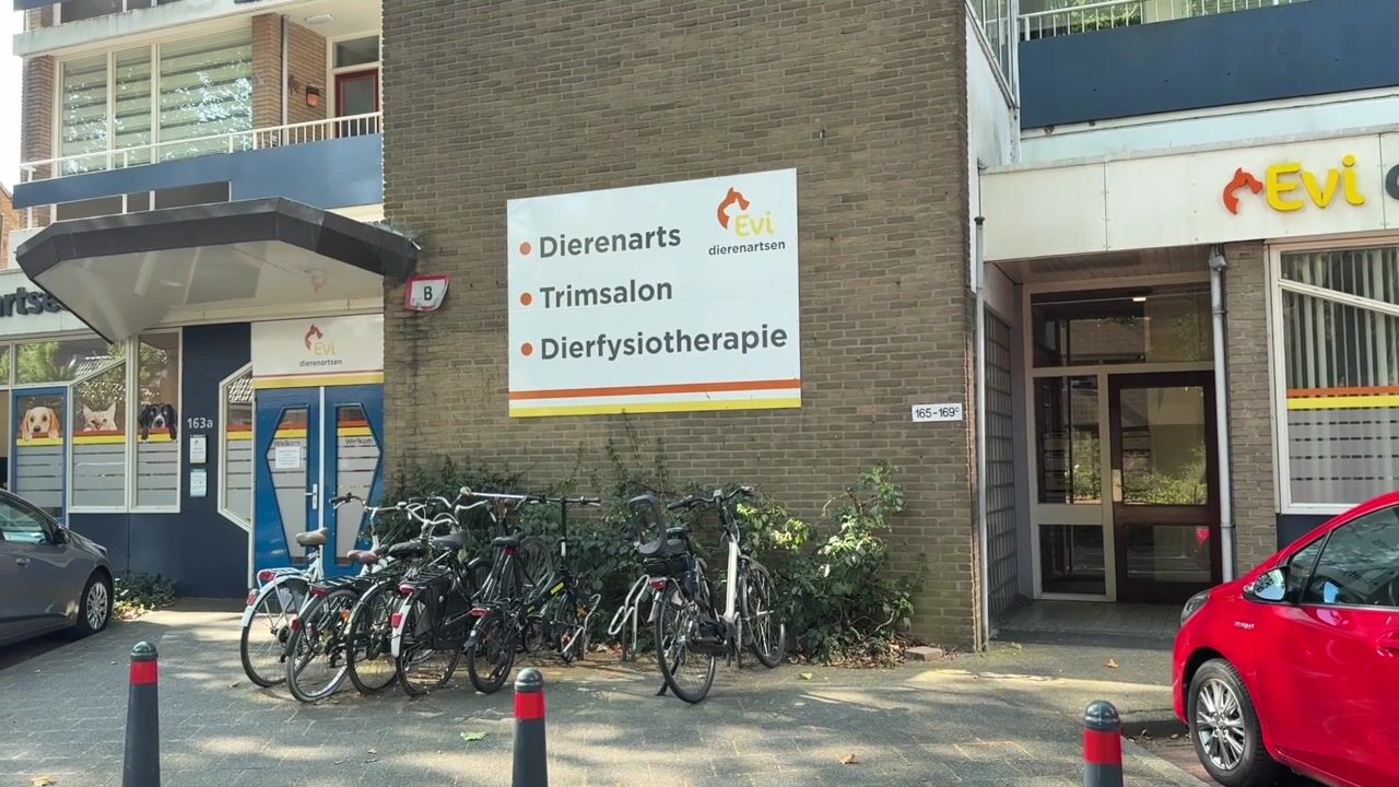 Video van Vaartweg 165-B