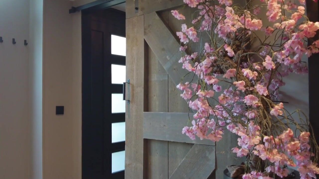 Video of Ribesstraat 17