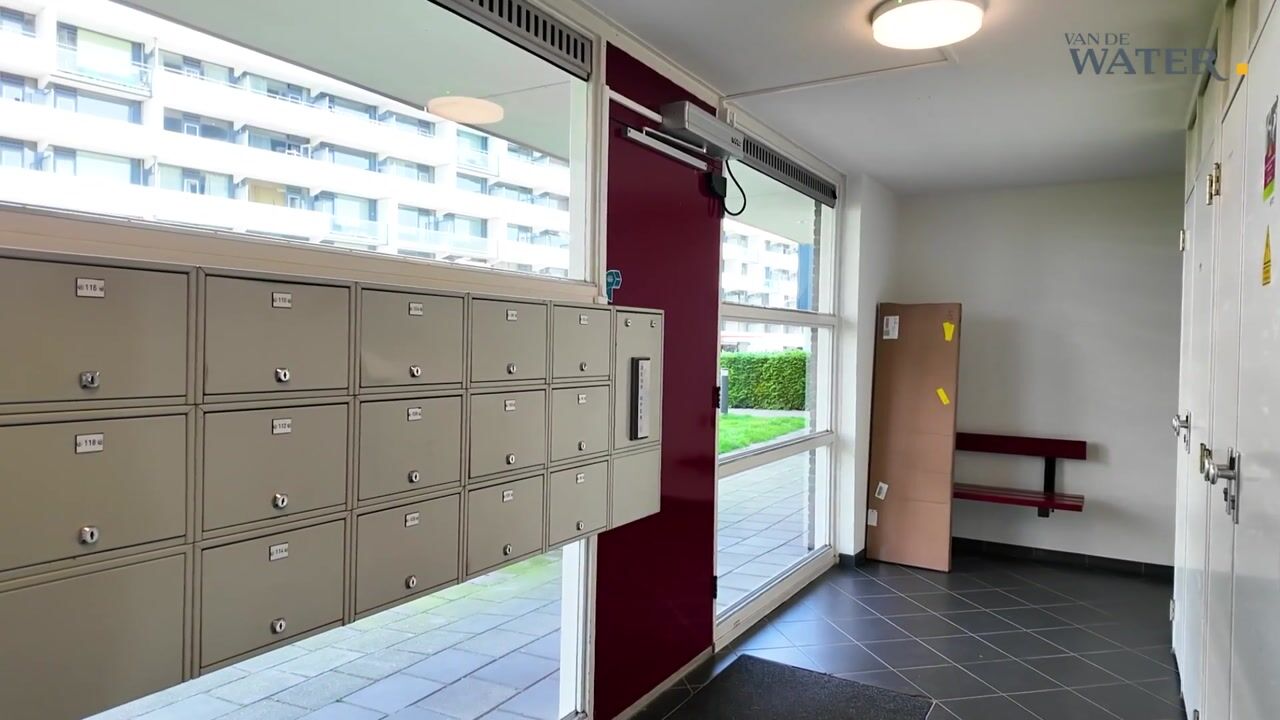 Video van Boksdoornerf 116